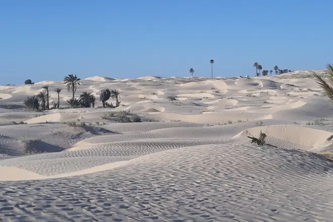 3 jours dans le sud de la Tunisie : Ruines romaines et chotts salés