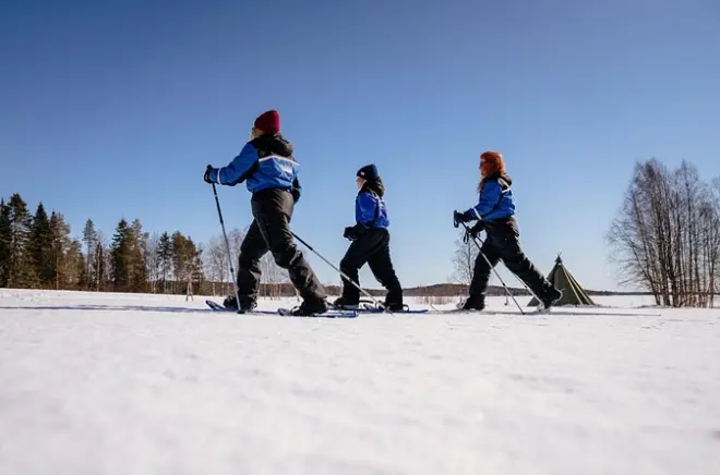 Randonnée en raquettes à Rovaniemi : Forêt gelée et faune arctique