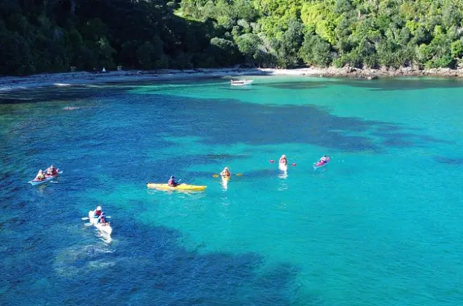 Kayaking Tiritiri Matangi Island: Native birds and island landing