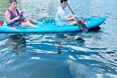 Watch dolphins and manatees from your kayak or paddleboard in cocoa beach, glide past mangroves and islands, and hear local stories. includes equipment.