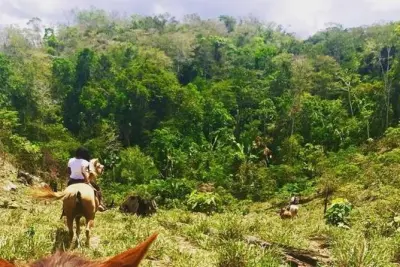 Reitausflug nach Minanha: Vergessene Dschungelstadt der Maya