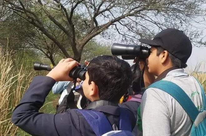 Observação de aves em Nandur Madhyameshwar: Opções privada e grupo