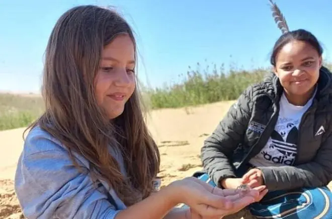 Swakopmund : Suivez les petits animaux du désert à pied