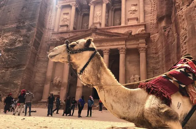 Petra & Wadi Rum day tour from Amman: Private guide, two deserts