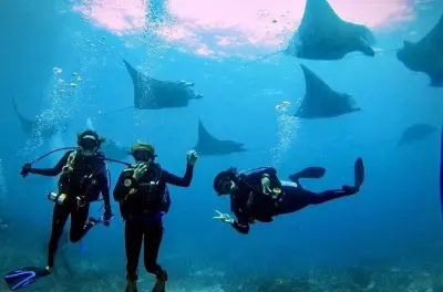 Schnorcheln in Nusa Penida: 3 Tauchgänge für zertifizierte Taucher