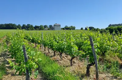 Dégustation de vins d’Anjou près d’Angers : Deux domaines familiaux