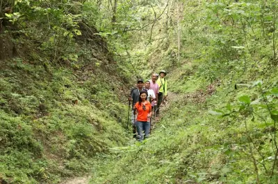 Randonnée guidée dans la jungle de Sierra de Vallejo depuis Bucerias