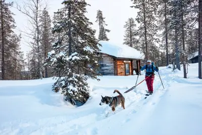 Husky Trail Walk in Lapland: 1:1 with Your Own Dog