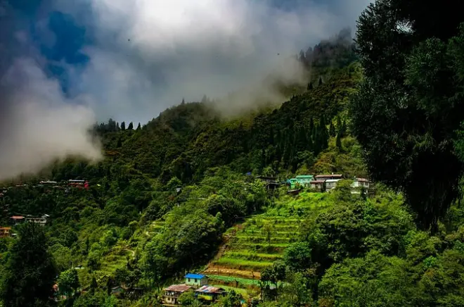 Trek à Tiger Hill Darjeeling : Randonnée nature guidée de 3 heures