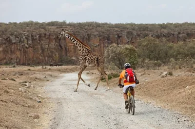 Start early from nairobi, bike through hell's gate with a private guide, walk the gorges, and finish with a lake naivasha boat ride. includes hotel pickup.