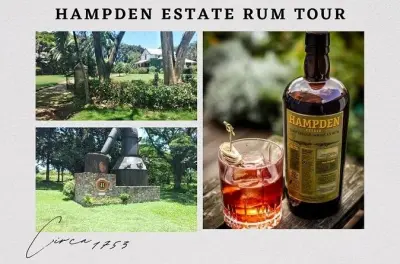 Hampden Estate Rum Tour from Montego Bay: 18th-Century Distillery