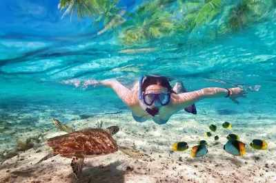Snorkeling a Nha Trang: Isola di Mun, pesca e isola di Bamboo