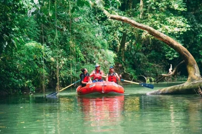 Découvrez un safari flottant relaxant près de la fortuna. observez singes, oiseaux et paresseux sur la sarapiqui. déjeuner, snacks et guide local inclus.