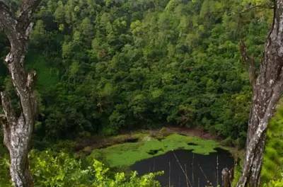 Black River Gorges Privattour: Highlights im Südwesten von Mauritius