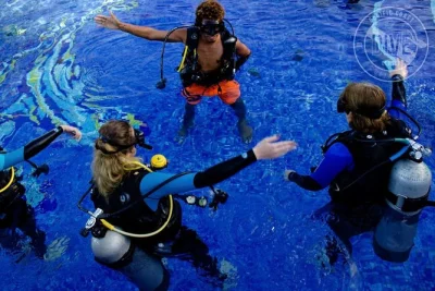 Feel the thrill of your first scuba dive at catalina islands in costa rica, guided by locals. includes hotel pickup, all equipment, and snacks on the boat.