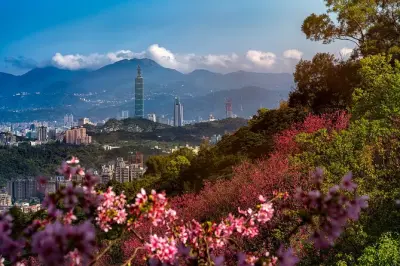 Private Taipei tour: Grand Hotel, Palace Museum, Taipei 101