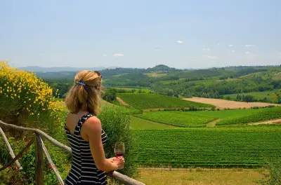 Wine tasting day trip from Bologna: 5 Romagna wines