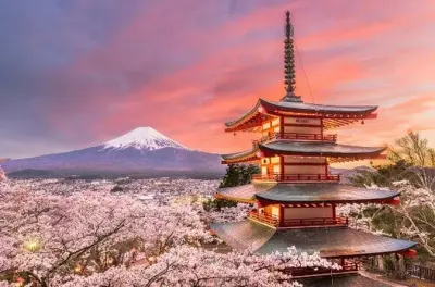 Tour privato Monte Fuji: Quinta stazione e lago Kawaguchiko