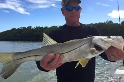 Marco Island Inshore Fishing Charter: Ten Thousand Islands