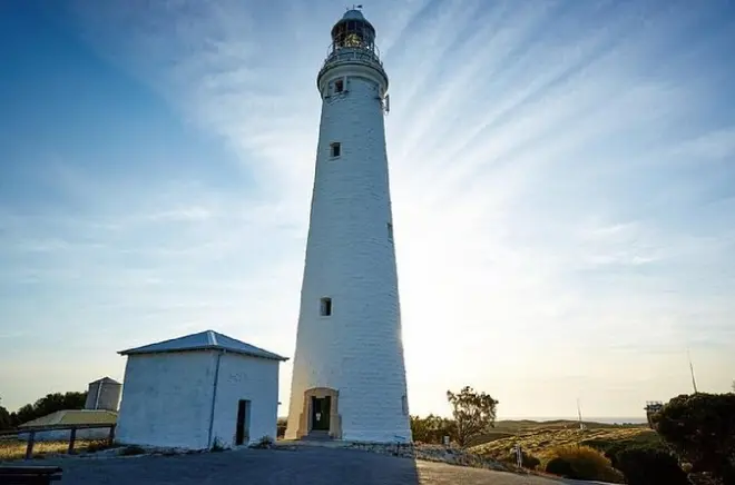 Passeio matinal em Rottnest Island com comentários ao vivo