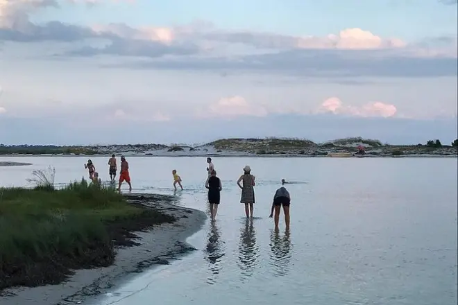 Excursion privée dauphins Pensacola : Plage isolée, 3 heures