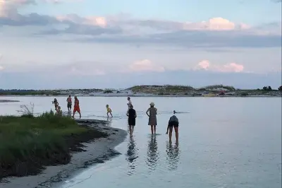 Private Dolphin Cruise Pensacola: Remote Beach Stop, 3 Hours