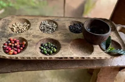 Cachoeiras de Marangu com cavernas, café e fontes termais