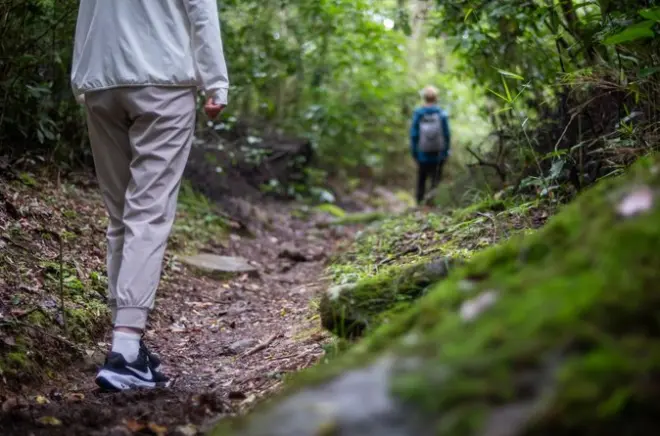 Hakone Zen Walking Tour: Ancient Trail Meditation
