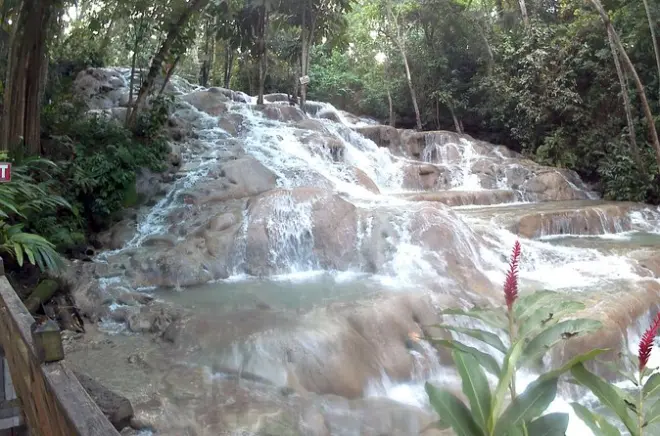 Montego Bay : Escalade des chutes Dunn's River