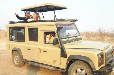 Day trip to Mikumi National Park from Morogoro: Safari wildlife