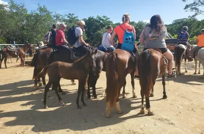 Snorkeling in Roatan: Horseback Ride, Sloths & Beach