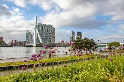 Visite photo de Rotterdam : Guide local des lieux photogéniques