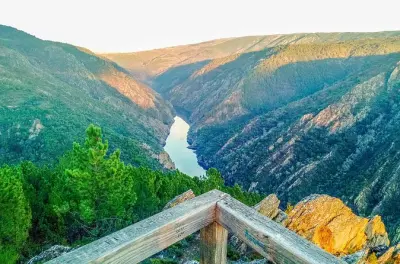 Degustaciones privadas de vino en Ribeira Sacra desde Santiago