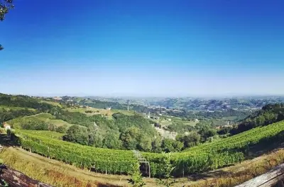 Barolo & Barbaresco wine tour from Milan: Taste at two wineries