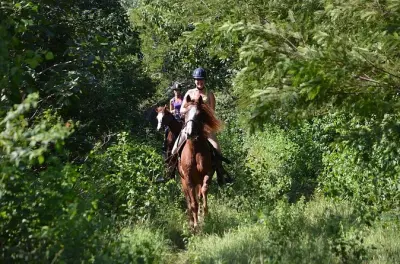 Paseo a caballo en Punta Sam con grupo pequeño por el rancho
