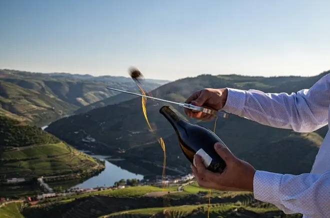 Degustação em Lamego com adegas boutique e passeio no Douro