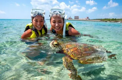 Snorkeling in Miyakojima: Sea Turtles with Free Reruns