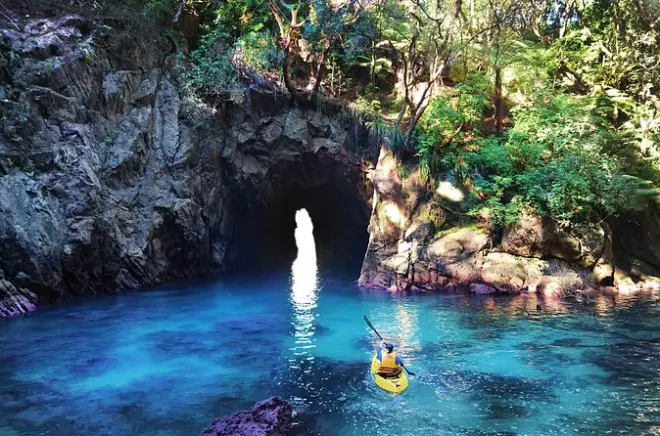Kayak à Whenuakura Island : Balade guidée vers Donut Island