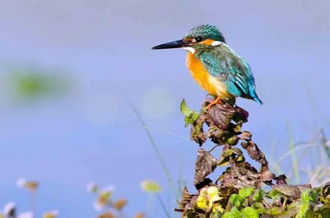 9-Day Nepal Tour: Kathmandu, Chitwan & Pokhara