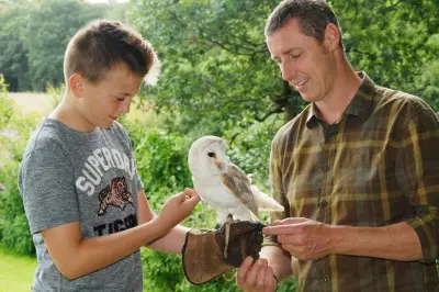 Experiência particular com aves de rapina para família em Carlisle