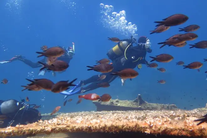 Buceo en Amorgos: Inmersión introductoria con instructor SSI