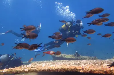Buceo en Amorgos: Inmersión introductoria con instructor SSI