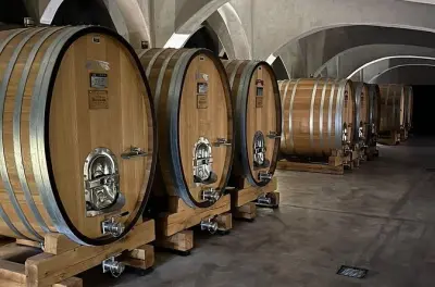 Private Mendoza Wine Tour: Uco Valley with Gourmet Lunch