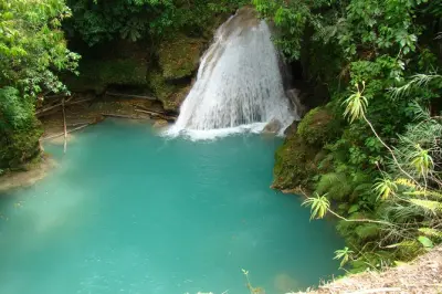 Visite privée des chutes Dunn's River avec entrée