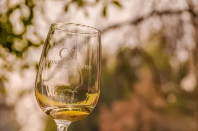 Maipo Valley Wine Tasting: Concha y Toro Premium Sensory
