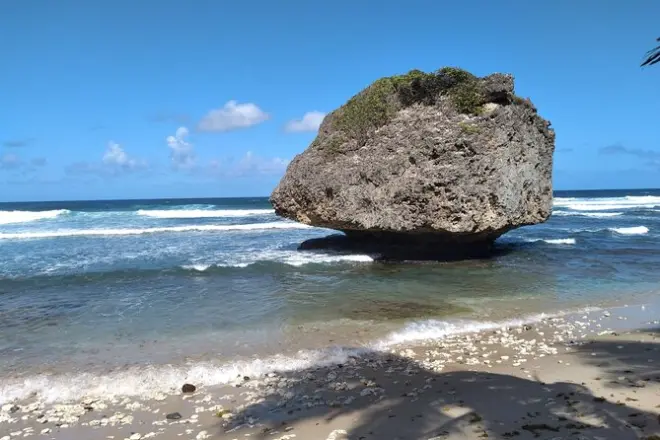 Tour privato a Barbados: 3-5 ore a scelta