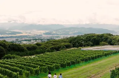 Tour del vino a Karuizawa con sommelier e trasporto privato