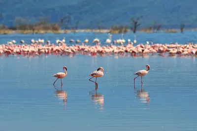 Tour pela ilha de Bonaire: Rota norte e sul com guia