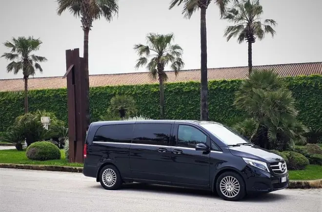 Transfert privé de l'aéroport de Palerme à l'hôtel Alberi del Paradiso