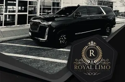 Servizio limousine executive a Chicago: Auto privata con WiFi